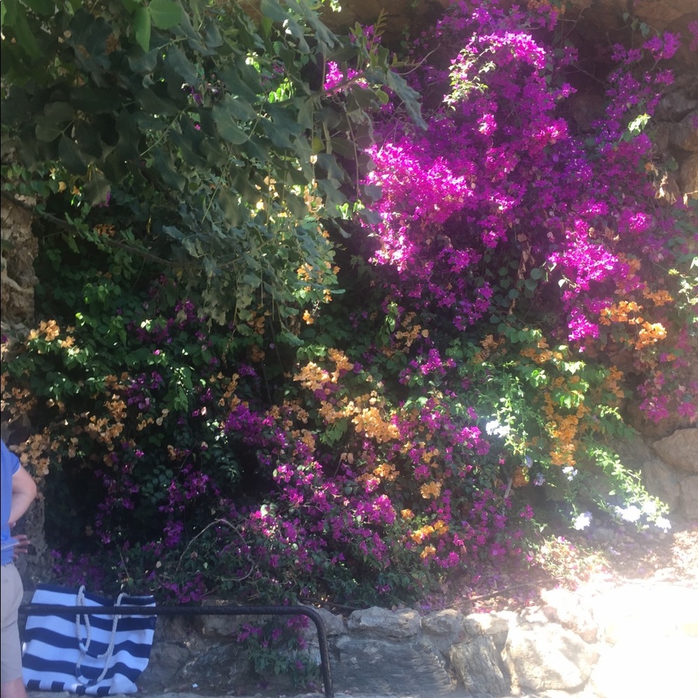 Meet your Posher, Kierra